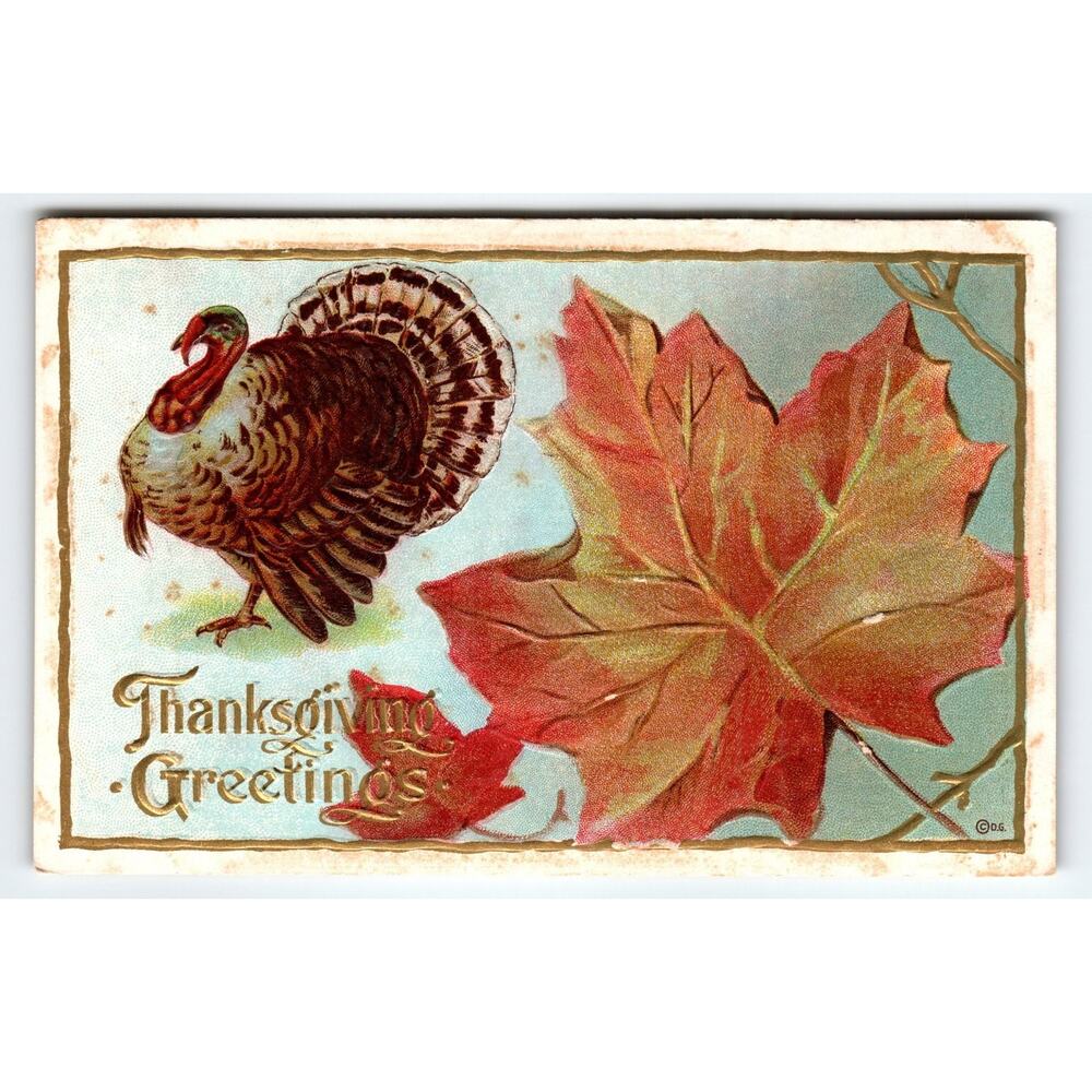 Vintage Thanksgiving Turkey & Autumn Leaf Embossed Lithograph Postcard